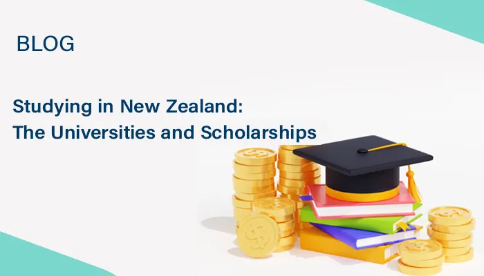 Universities And Scholarships