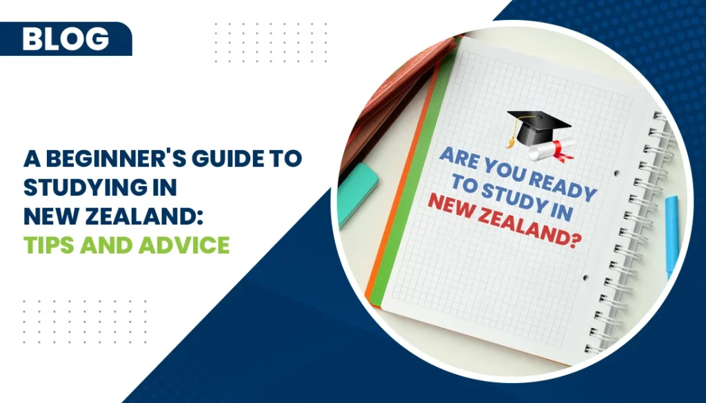 A Beginners Guide To Studying In New Zealand Tips And Advice