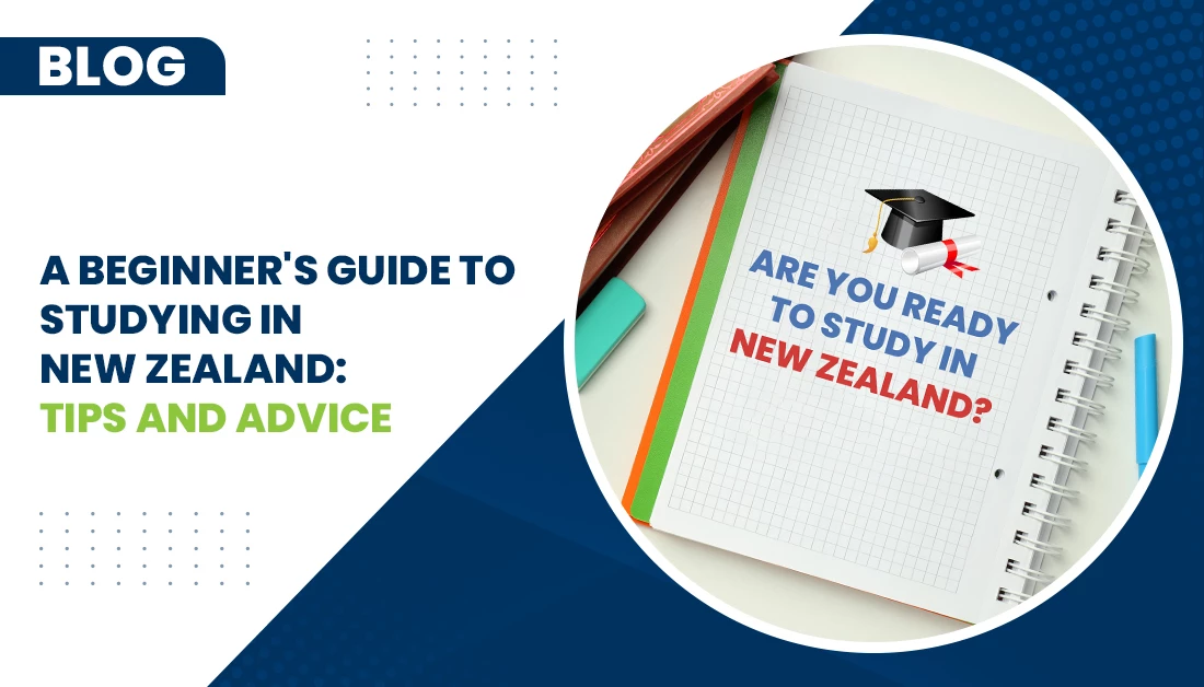 Studying in New Zealand: Tips for International Students A Beginners Guide To Studying In New Zealand Tips And Advice