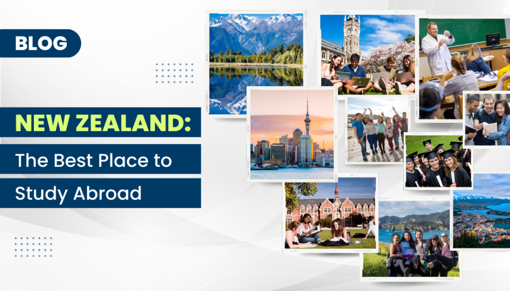 Why New Zealand Is The Perfect Destination For International Students