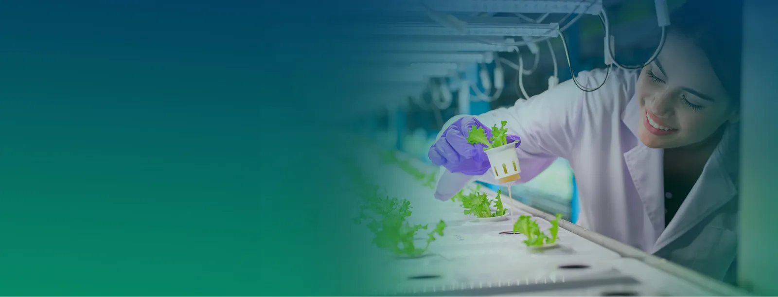 Agriculture Courses in New Zealand