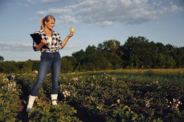 Agriculture in New Zealand